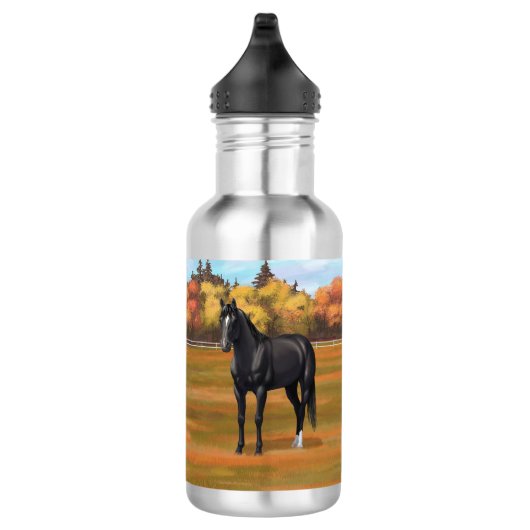 Beauful Black Quarter Horse Stallion Waterfles (Rechts)