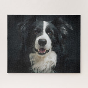 Beauful Black White Border Collie Dog Foto Legpuzzel