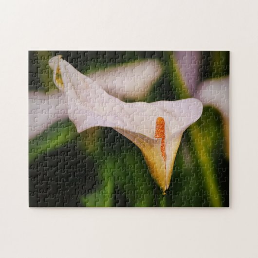 Beauful Blooming Calla Lily Garden Puzzle Legpuzzel (Horizontaal)