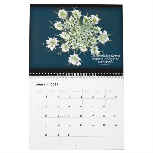 Beauful Blooms Volume 2 Calendar Kalender (Mar 2026)