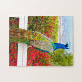 Beauful Blue Green Peacock Foto Stijlvol beeld Legpuzzel (Horizontaal)