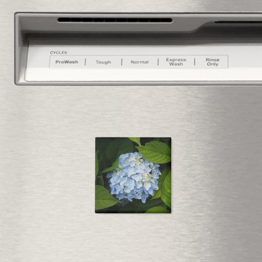 Beauful Blue Hydrangea Floral Foto Magneet (Insitu (Vaatwasser))