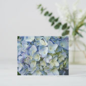 Beauful Blue Hydrangea Flowers Foto Briefkaart (Staand voorkant)