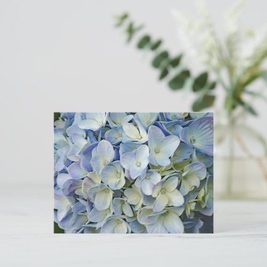 Beauful Blue Hydrangea Flowers Foto Briefkaart (Staand voorkant)