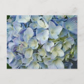 Beauful Blue Hydrangea Flowers Foto Briefkaart (Voorkant)