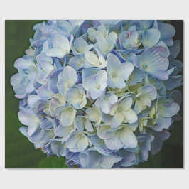 Beauful Blue Hydrangea Flowers Foto Cadeaupapier