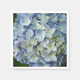 Beauful Blue Hydrangea Flowers Foto Servet