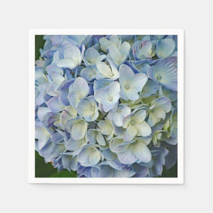 Beauful Blue Hydrangea Flowers Foto Servet
