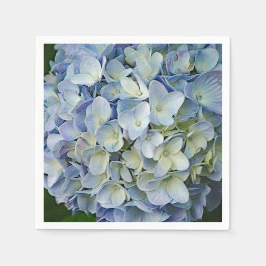 Beauful Blue Hydrangea Flowers Foto Servet (Voorkant)