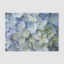 Beauful Blue Hydrangea Flowers Foto Tissuepapier
