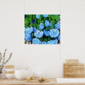 Beauful Blue Hydrangeas Poster (Keuken)