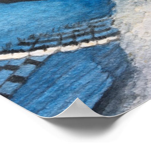 Beauful Blue Jay Bird Waterverf Poster (Hoek)