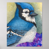 Beauful Blue Jay Bird Waterverf Poster (Voorkant)