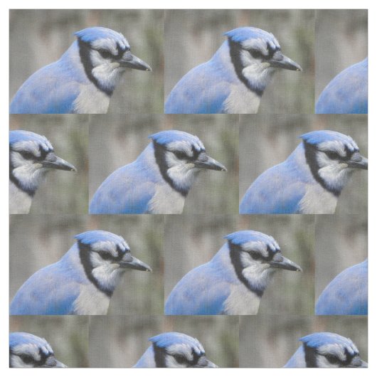 Beauful Blue Jay Closeup Stof (Swatch)