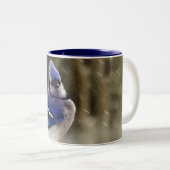 Beauful Blue Jay in Winter Foto Tweekleurige Koffiemok (Voorkant rechts)