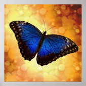Beauful Blue Morpho Butterfly Bokeh Poster (Voorkant)