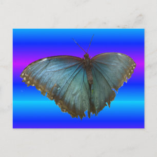 Beauful Blue Morpho Butterfly DIY Briefkaart