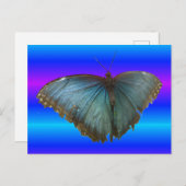 Beauful Blue Morpho Butterfly DIY Briefkaart (Voorkant / Achterkant)