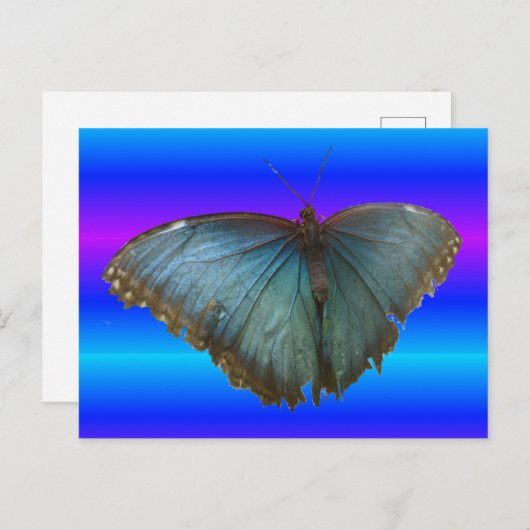 Beauful Blue Morpho Butterfly DIY Briefkaart (Voorkant / Achterkant)