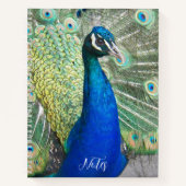 Beauful Blue Peacock Feathers foto Notitieboek (Voorkant)