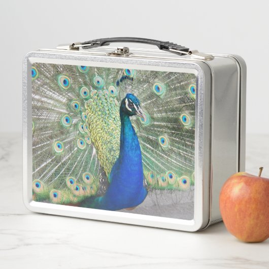 Beauful Blue Peacock Foto (In situ)