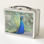 Beauful Blue Peacock Foto (Voorkant)