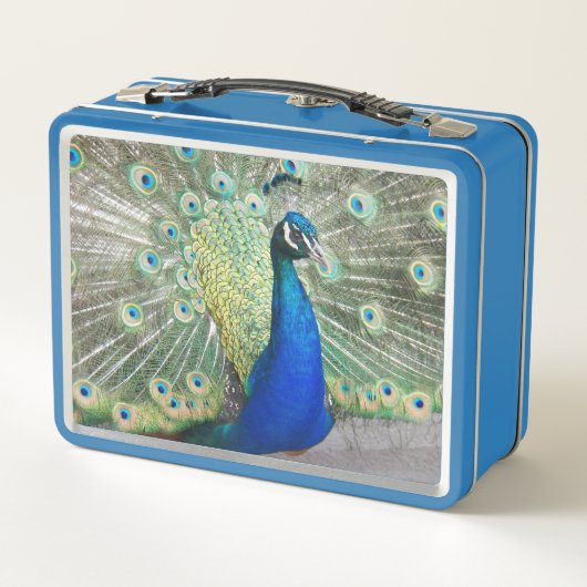 Beauful Blue Peacock Foto (Achterkant)