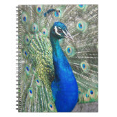 Beauful Blue Peacock Foto Notitieboek (Voorkant)