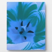 Beauful Blue Tulip Plaque Fotoplaat (Voorkant)