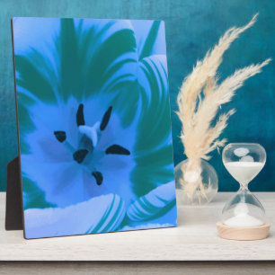 Beauful Blue Tulip Plaque Fotoplaat