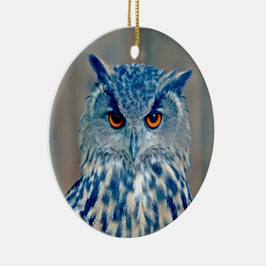 Beauful Blue Uhu Raptor Owl Keramisch Ornament (Rechts)
