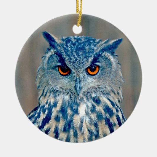 Beauful Blue Uhu Raptor Owl Keramisch Ornament (Voorkant)