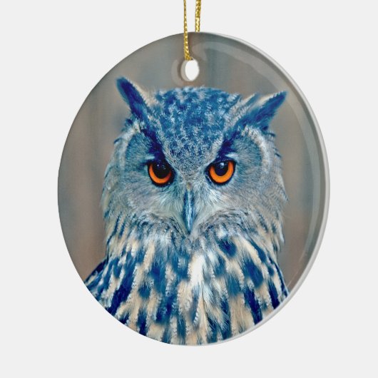 Beauful Blue Uhu Raptor Owl Keramisch Ornament (Links)