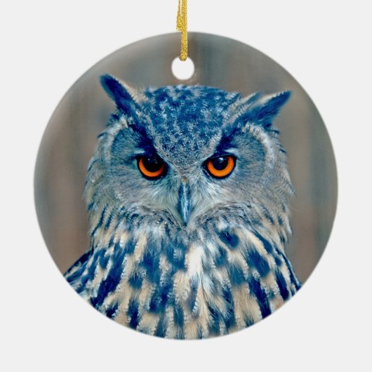 Beauful Blue Uhu Raptor Owl Keramisch Ornament (Achterkant)