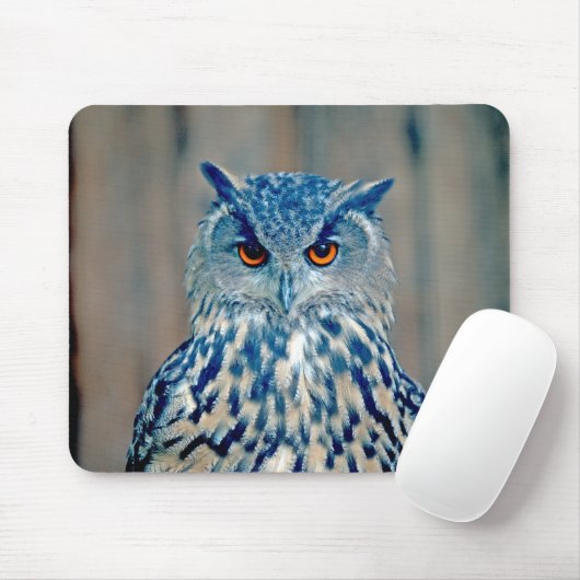 Beauful Blue Uhu Raptor Owl Muismat (Met muis)
