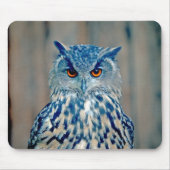 Beauful Blue Uhu Raptor Owl Muismat (Voorkant)