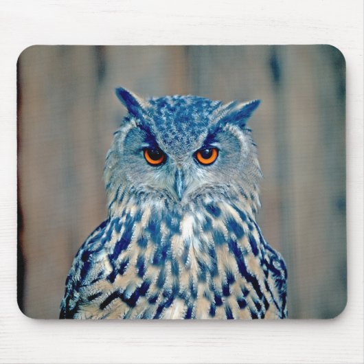 Beauful Blue Uhu Raptor Owl Muismat (Voorkant)