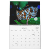Beauful Bokeh Butterflies - Aangepaste foto Kalender (Jan 2027)