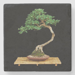 Beauful Bonsai Tree Stone Onderzetter
