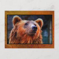 Beauful Brown Beer Portret Wildlife Foto