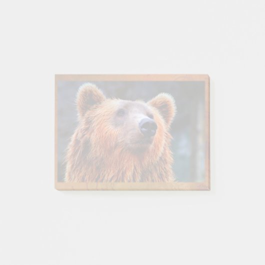 Beauful Brown Beer Portret Wildlife Foto Post-it® Notes (Voorkant)