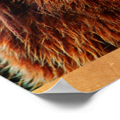 Beauful Brown Beer Portret Wildlife Foto Poster (Hoek)