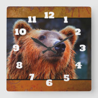 Beauful Brown Beer Portret Wildlife Foto