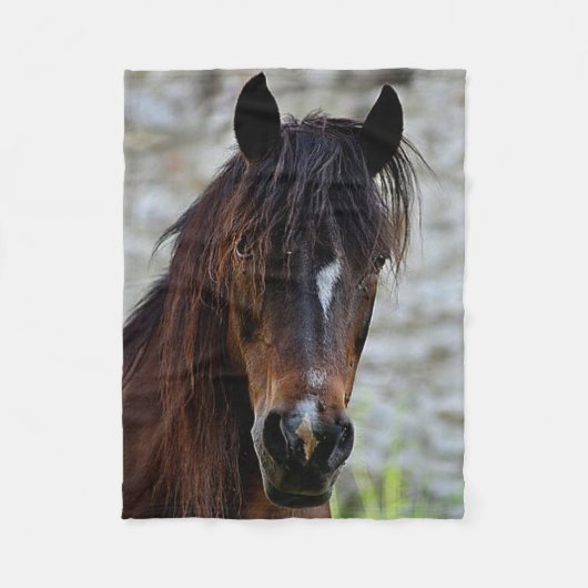 Beauful Brown Horse Fleece Blanket (Voorkant)