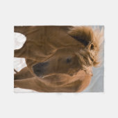Beauful Brown Horse Fleece Blanket (Voorkant (Horizontaal))