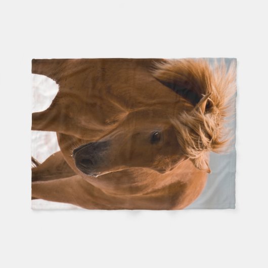 Beauful Brown Horse Fleece Blanket (Voorkant (Horizontaal))