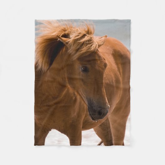 Beauful Brown Horse Fleece Blanket (Voorkant)