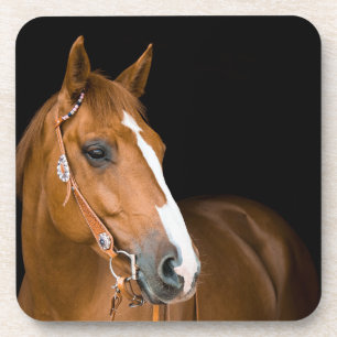 Beauful Brown White Quarter Horse Foto Bier Onderzetter