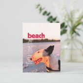 Beauful Bull Terrier Briefkaart "Beach" (Staand voorkant)