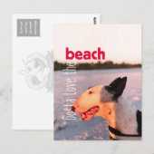 Beauful Bull Terrier Briefkaart "Beach" (Voorkant / Achterkant)